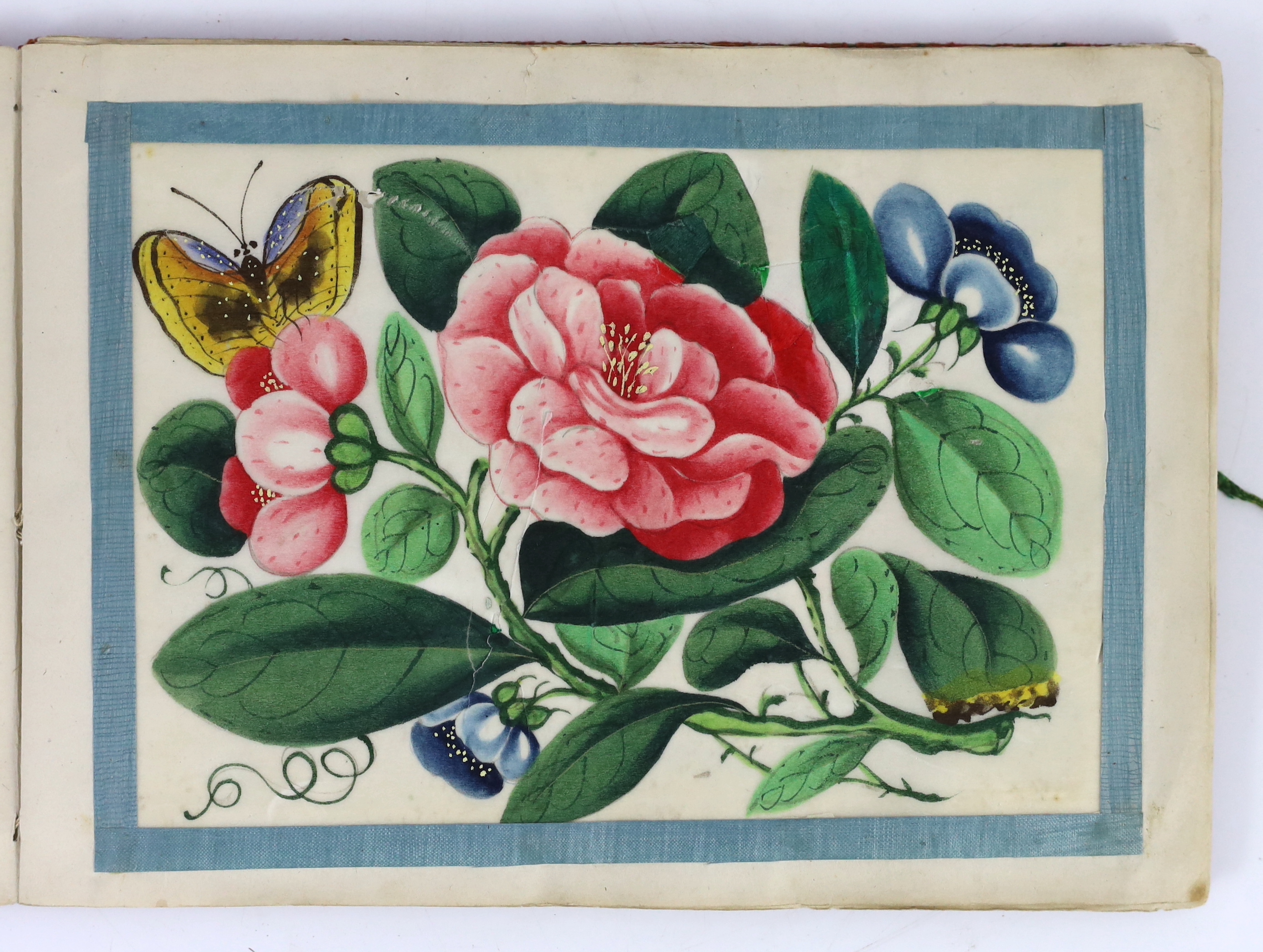 A Chinese album of twelve pith paintings of flowers and insects, 19th century